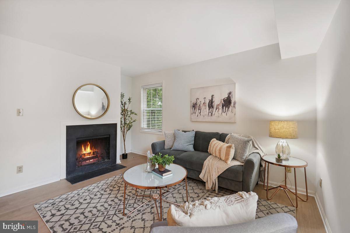Alexandria, VA 22314,1305 E ABINGDON DR #3