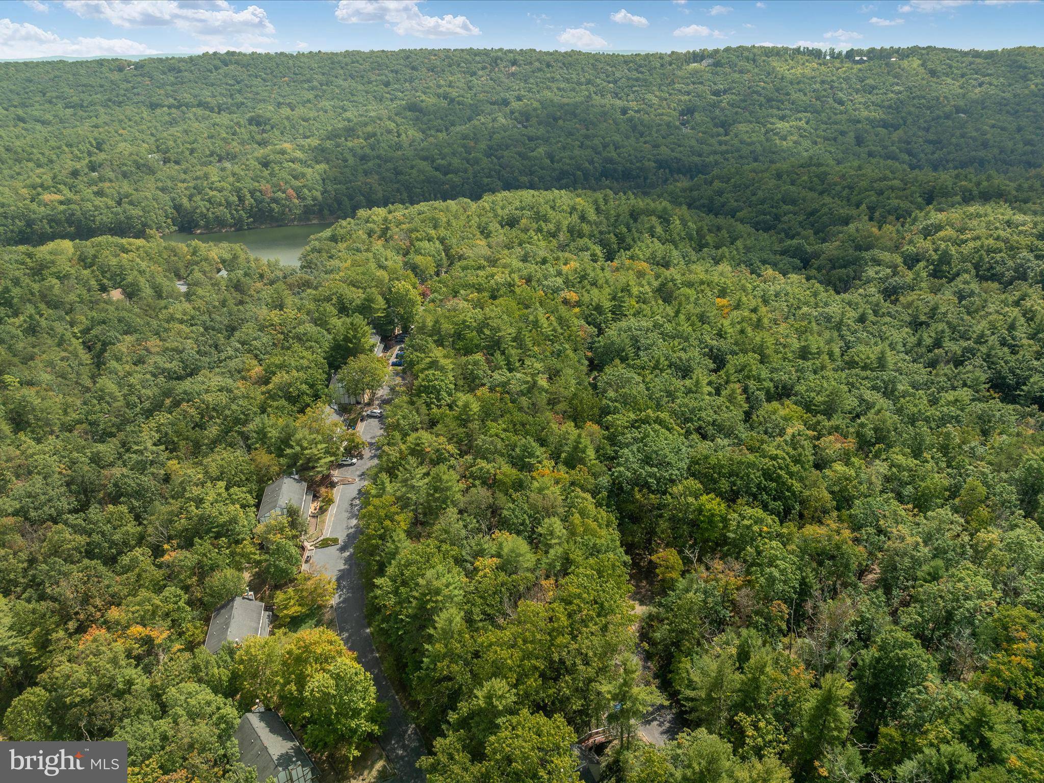 Basye, VA 22810,TBD SPITZ LN