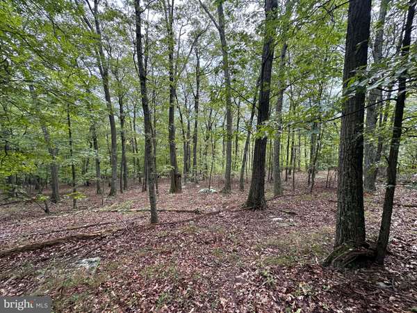 LOT 7 DETOUR ROAD, Great Cacapon, WV 25422