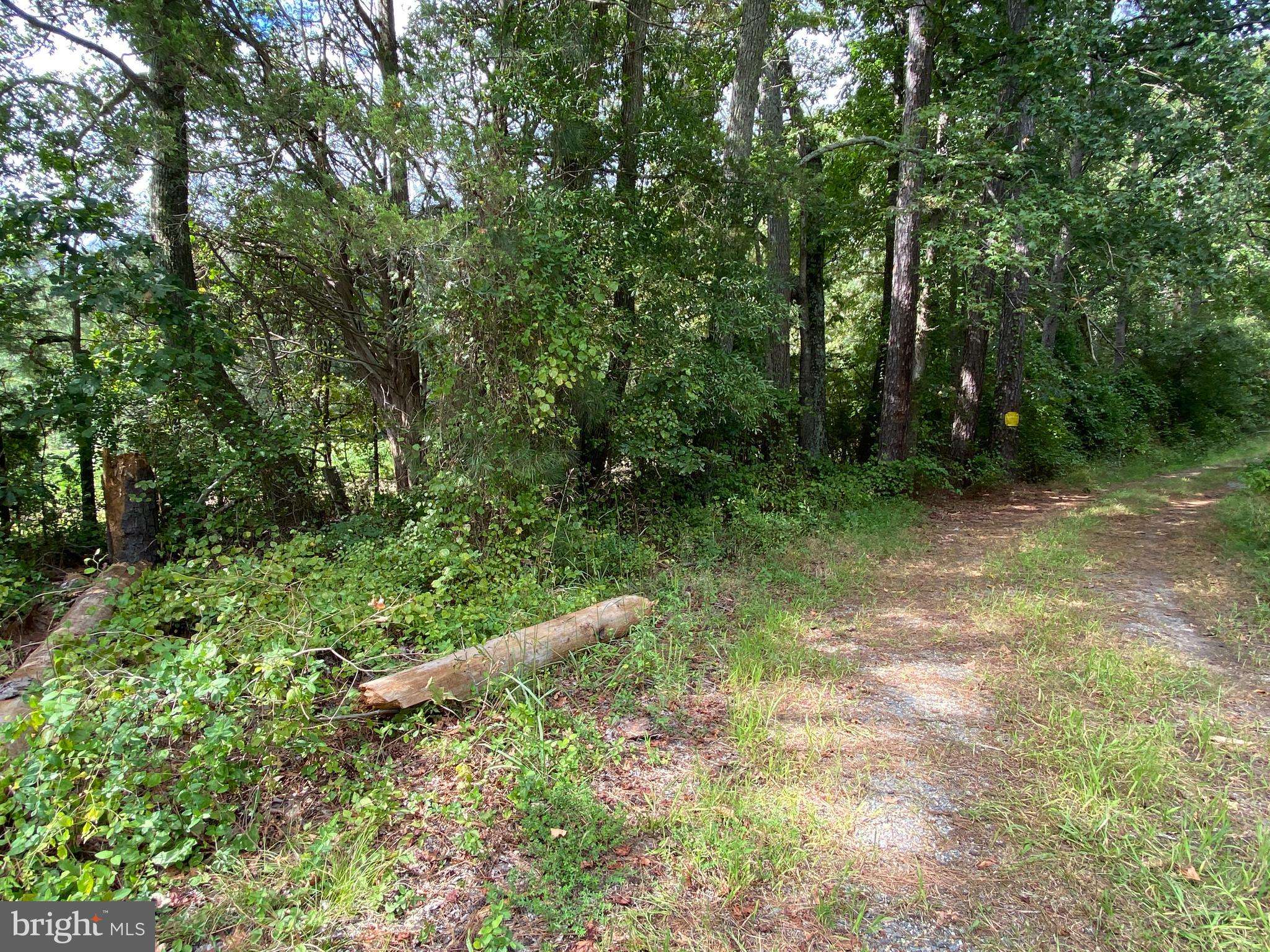35-81A OLD PARSONS ROAD, King George, VA 22485