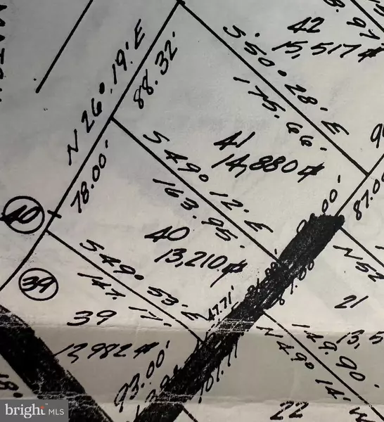 MALLARD #40, Basye, VA 22810