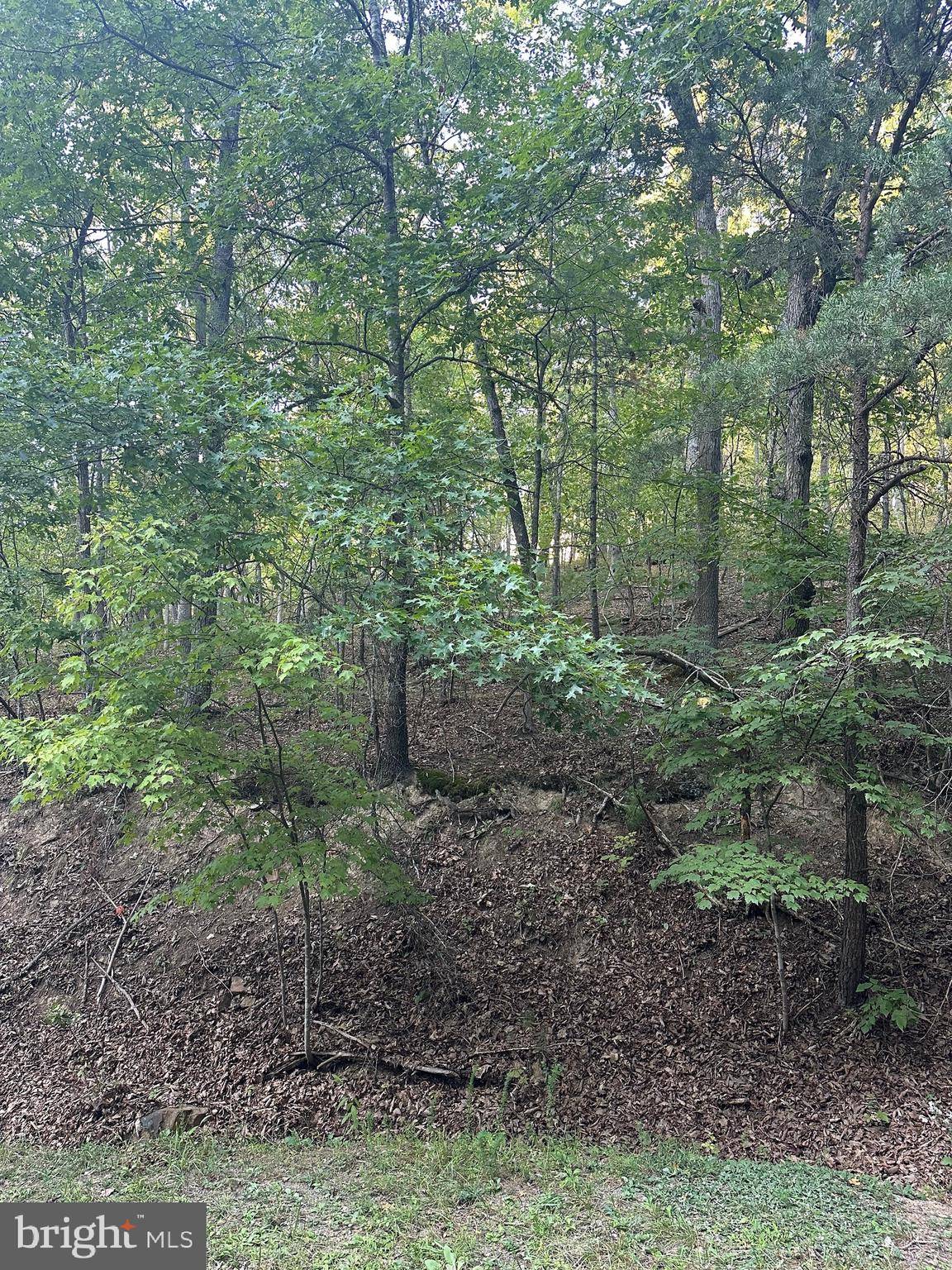 Basye, VA 22810,FAIRWAY #174