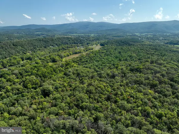 Luray, VA 22835,LOT 1 PAGE VALLEY ROAD