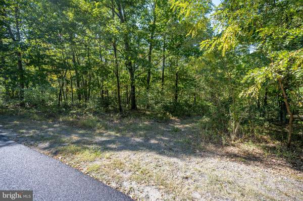 Mc Henry, MD 21541,LOT 9 NORMAS WAY