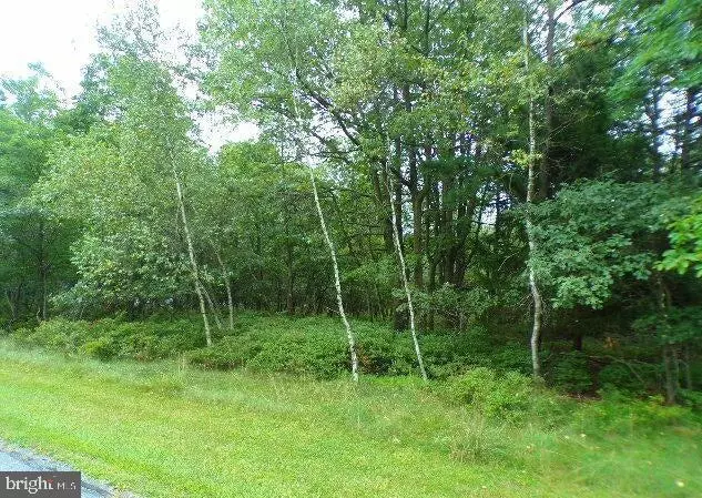 Albrightsville, PA 18210,LOT 79 PATTEN CIR