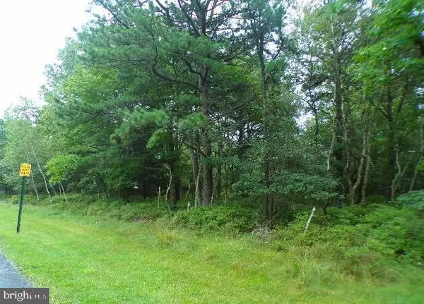 Albrightsville, PA 18210,LOT 79 PATTEN CIR