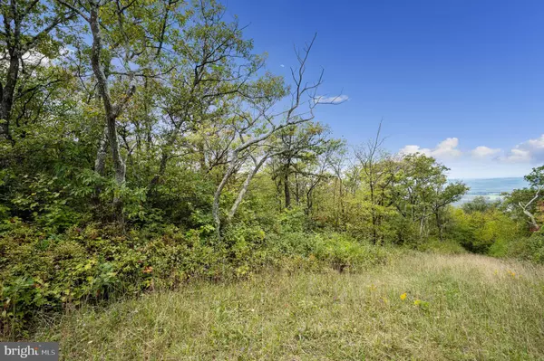 Winchester, VA 22602,LOT 38 TIMBER RIDGE TRL