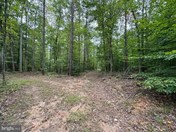 Orange, VA 22960,LOT 0110 MOUNTAIN TRACK RD