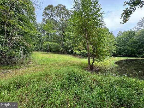 Orange, VA 22960,LOT 0110 MOUNTAIN TRACK RD