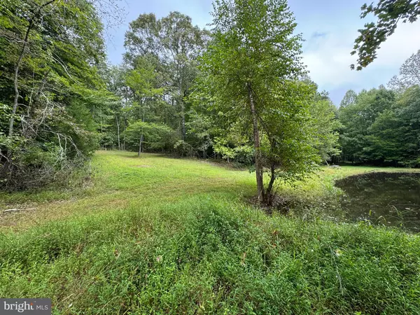 Orange, VA 22960,LOT 0110 MOUNTAIN TRACK RD