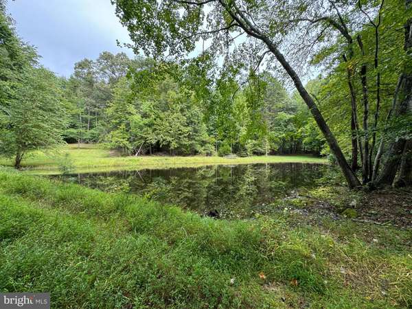 LOT 0110 MOUNTAIN TRACK RD, Orange, VA 22960