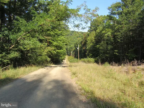 Wardensville, WV 26851,LOT 8 ROCK RIDGE ACRES