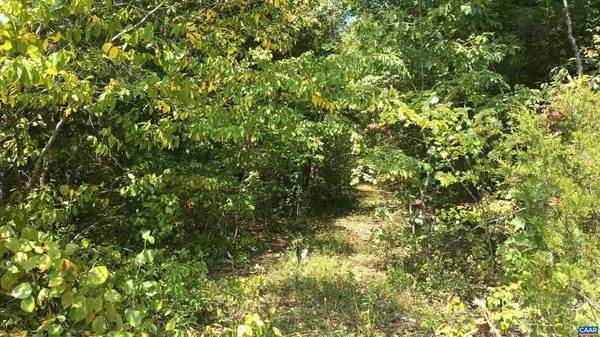 Shipman, VA 22971,0 GLADE RD #LOT 3