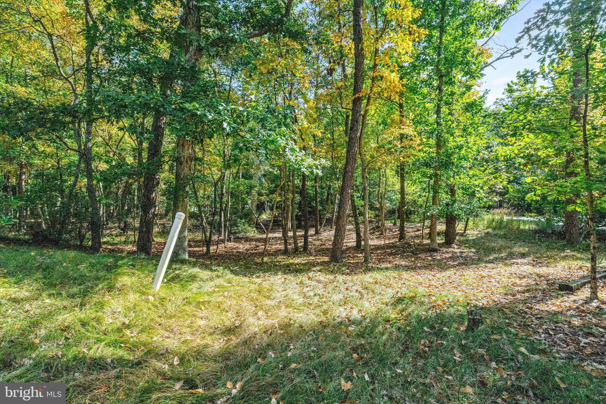 Medford, NJ 08055,100 HINCHMAN RD