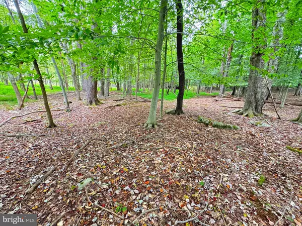 LOT 734-735 WHITE BIRCH LN, Lake Ariel, PA 18436