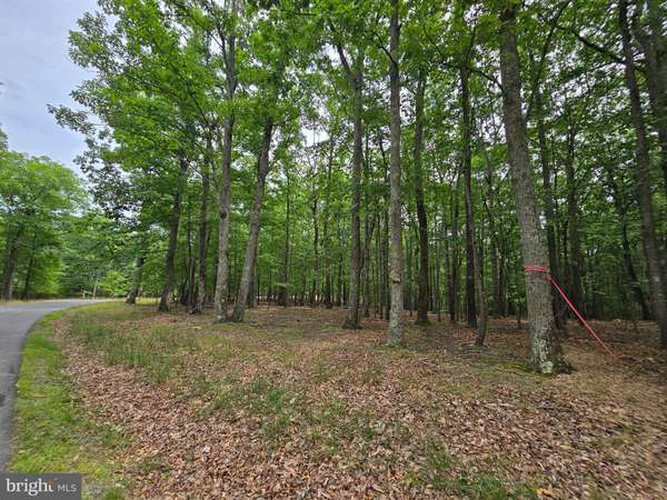 Great Cacapon, WV 25422,SIDELING MOUNTAIN TRAIL - LOTS 64 & 65