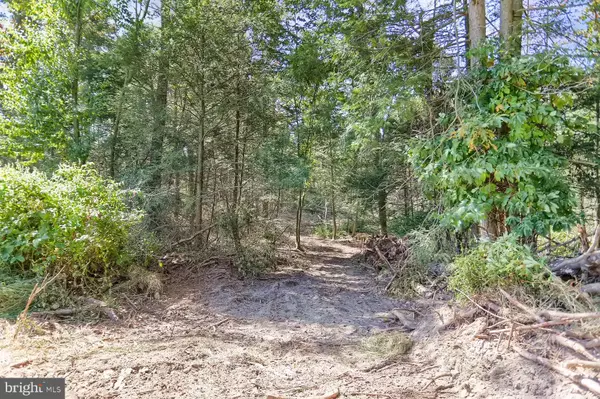 Liverpool, PA 17045,00-LOT 3 KLINGER HOLLOW RD