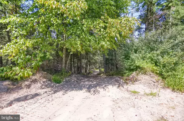 Liverpool, PA 17045,00-LOT 3 KLINGER HOLLOW RD