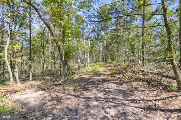 Liverpool, PA 17045,00-LOT 3 KLINGER HOLLOW RD