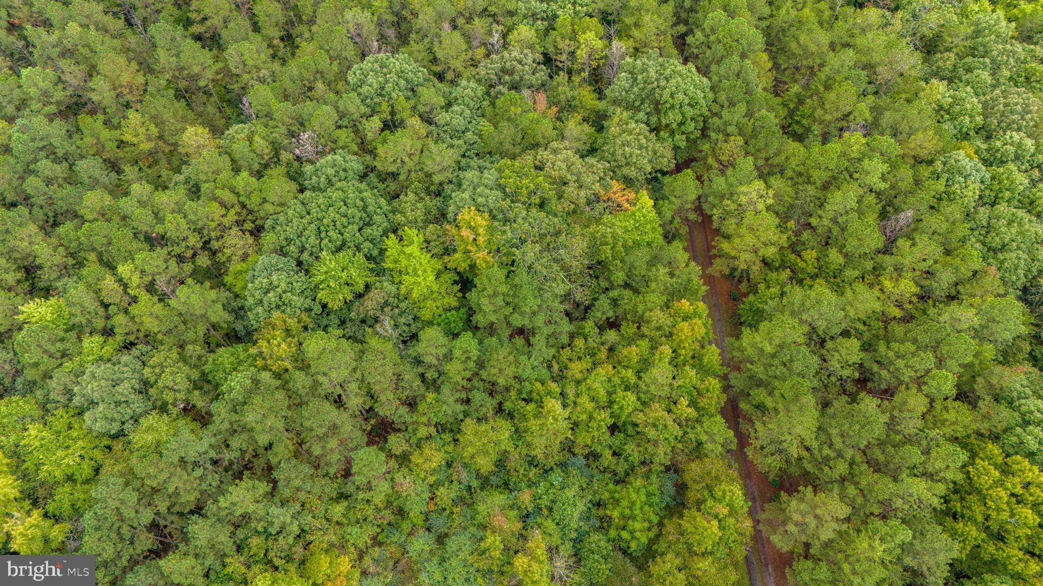 Jamaica, VA 23079,LOT 21 GLEBE LANDING RD