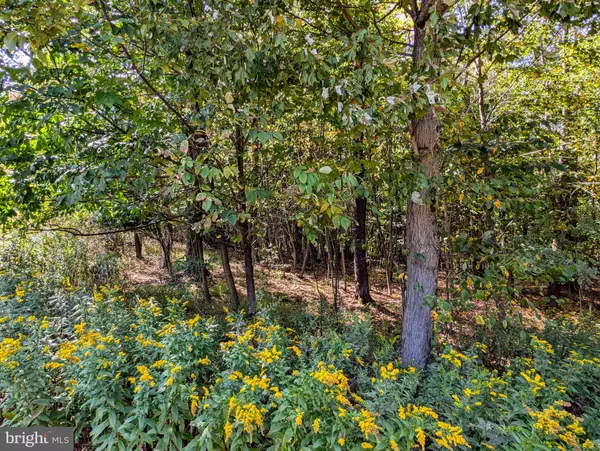 Duncansville, PA 16635,1849 POPLAR RUN ROAD #LOT #1