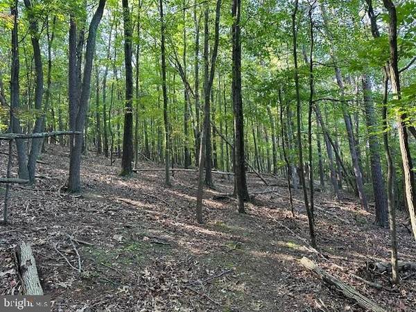 Berkeley Springs, WV 25411,13.03 AC MYERS RD