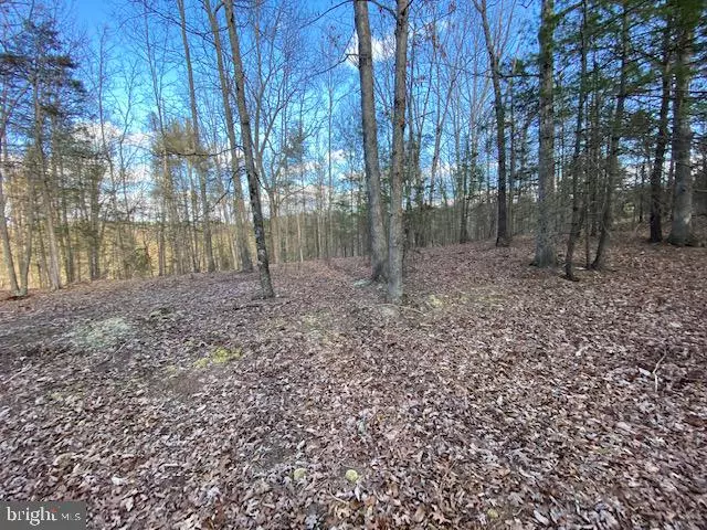 LOT 24 SLATE ROCK SLATE ROCK PASS ROAD, Wardensville, WV 26851