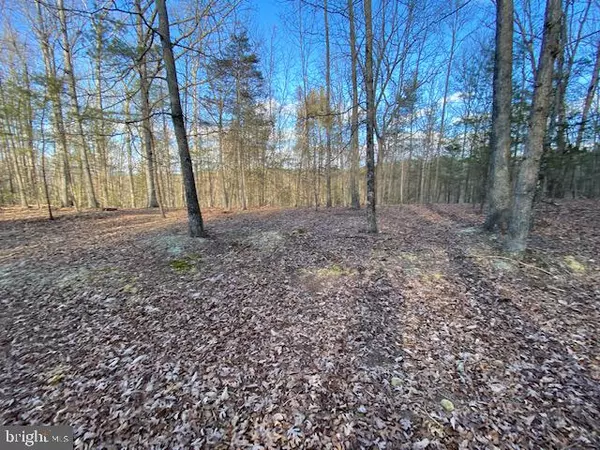 Wardensville, WV 26851,LOT 24 SLATE ROCK SLATE ROCK PASS ROAD