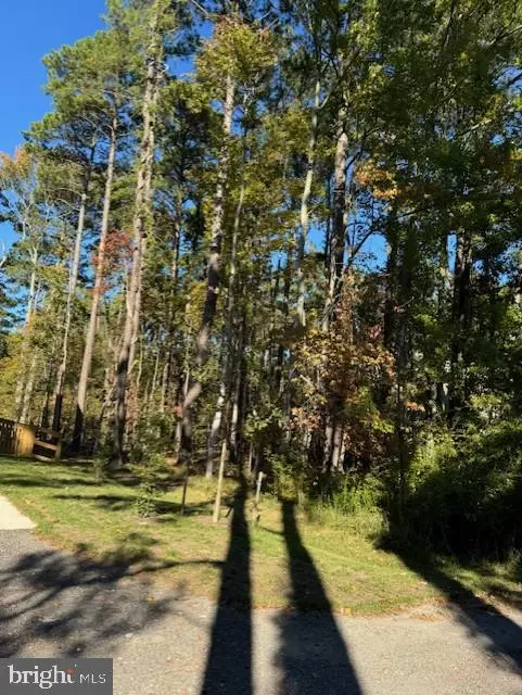 Stevensville, MD 21666,LOT 8 ACKERMAN DR