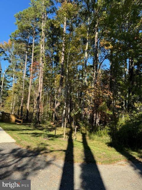 LOT 8 ACKERMAN DR, Stevensville, MD 21666