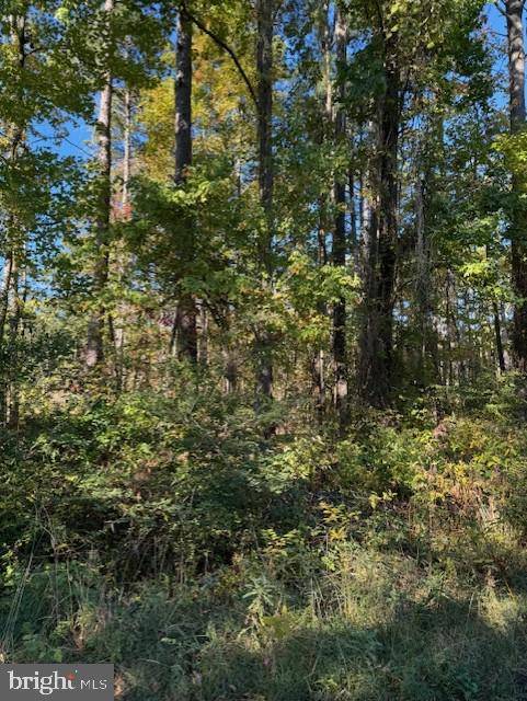 Stevensville, MD 21666,LOT 8 ACKERMAN DR