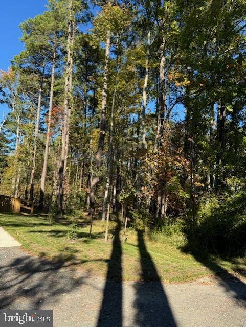 Stevensville, MD 21666,LOT 8 ACKERMAN DR