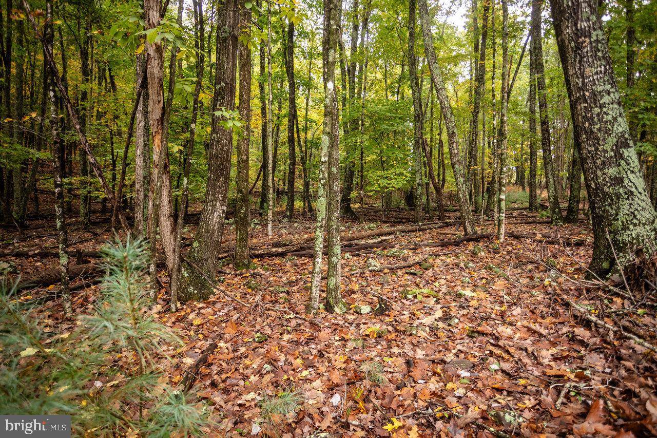 Sugar Grove, WV 26815,0-22.72 ACS DRY RUN RD