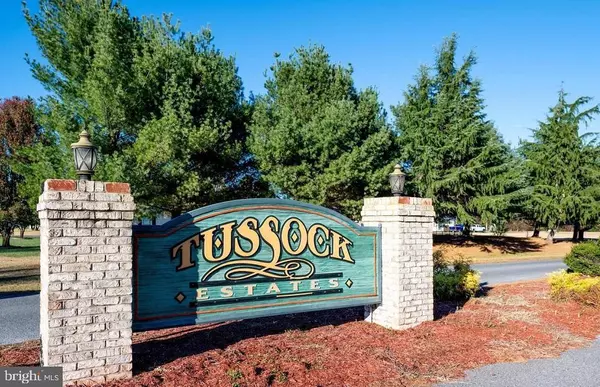 Laurel, DE 19956,32781 TUSSOCK DR