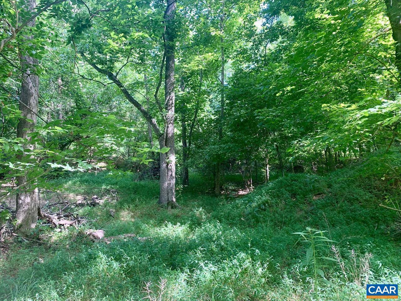 Charlottesville, VA 22911,TBD BOLLINGBROOK DR