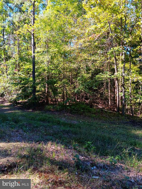 14TH STREET ESTATES LOT 12, Colonial Beach, VA 22443