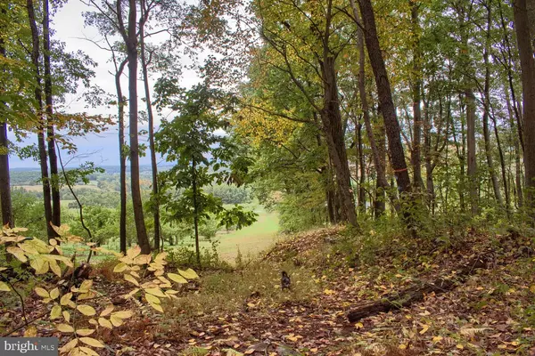 Paxinos, PA 17860,MOUNTAIN ROAD