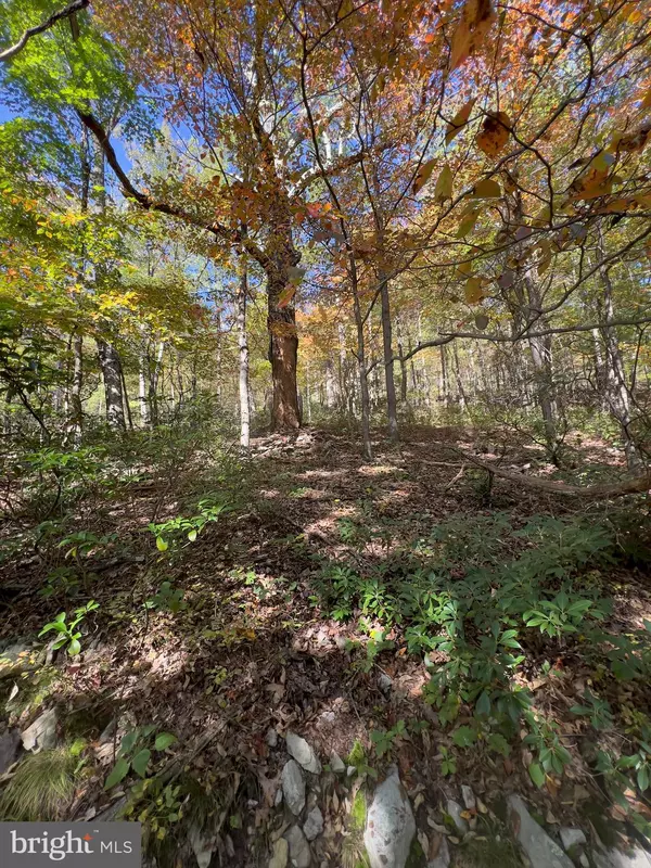 -LOT 5A FOX TRL, Winchester, VA 22602