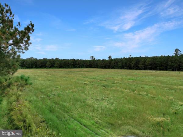 Delmar, DE 19940,LOT C WHITESVILLE ROAD