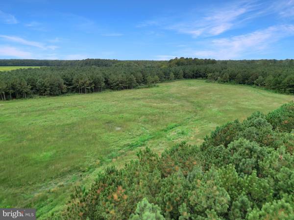 Delmar, DE 19940,LOT C WHITESVILLE ROAD