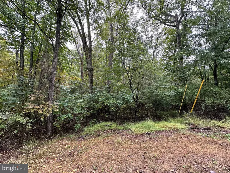 LOT 5 OAK DR, Winchester, VA 22603