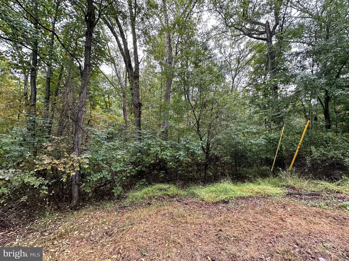 Winchester, VA 22603,LOT 5 OAK DR