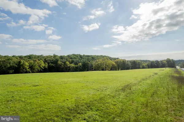 Cross Junction, VA 22625,LOT 24 BLOOMERY PIKE