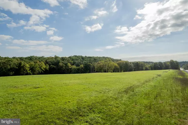 Cross Junction, VA 22625,LOT 24 BLOOMERY PIKE