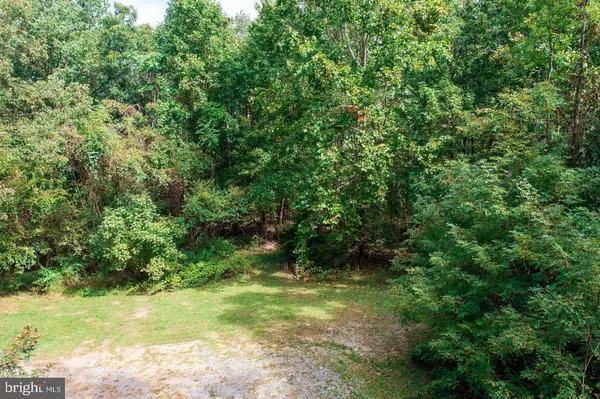 LOT C37 SHEILA LN, Shenandoah, VA 22849