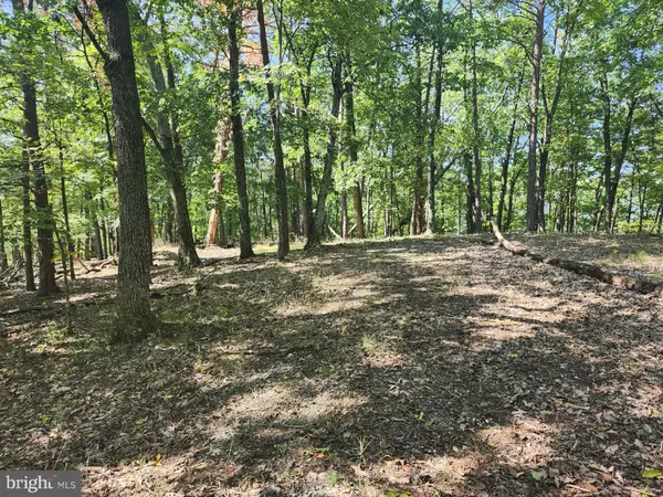 Milam, WV 26838,GRACE MOUNTAIN LANE