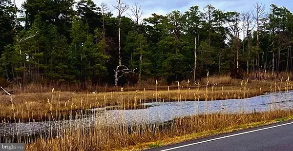 Chincoteague, VA 23336,MAIN ST