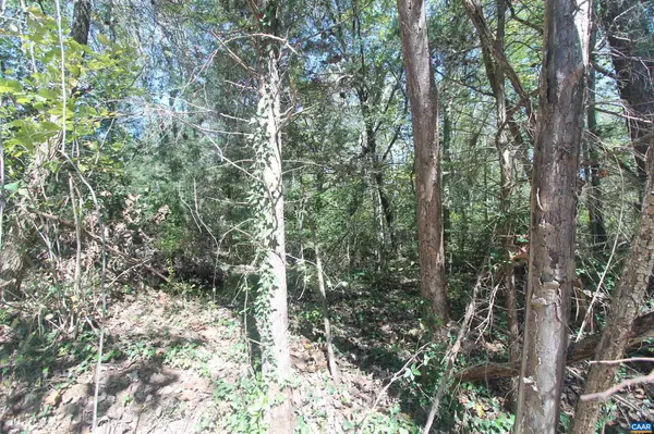 North Garden, VA 22959,TBD 1 TOCO HL #020B0