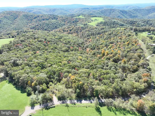 40.00 AC SHENANDOAH MOUNTAIN RD, Mathias, WV 26812