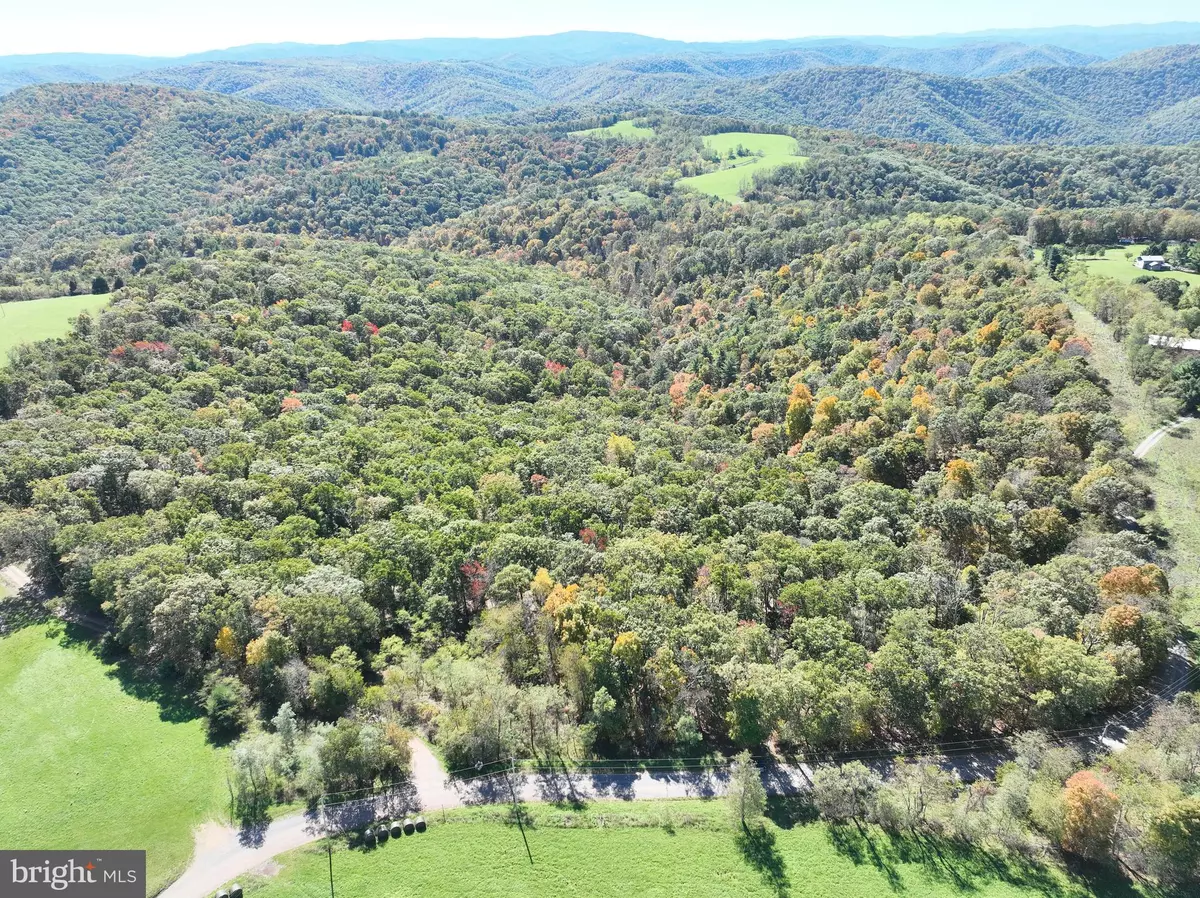 Mathias, WV 26812,40.00 AC SHENANDOAH MOUNTAIN RD